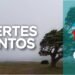 ALERTA METEOROLÓGICO Nº 2 PARA NORESTE DE LA PROVINCIA DE BUENOS AIRES. RÍO DE LA PLATA Y CIUDAD AUTÓNOMA DE  BUENOS AIRES POR VIENTOS INTENSOS CON RÁFAGAS.