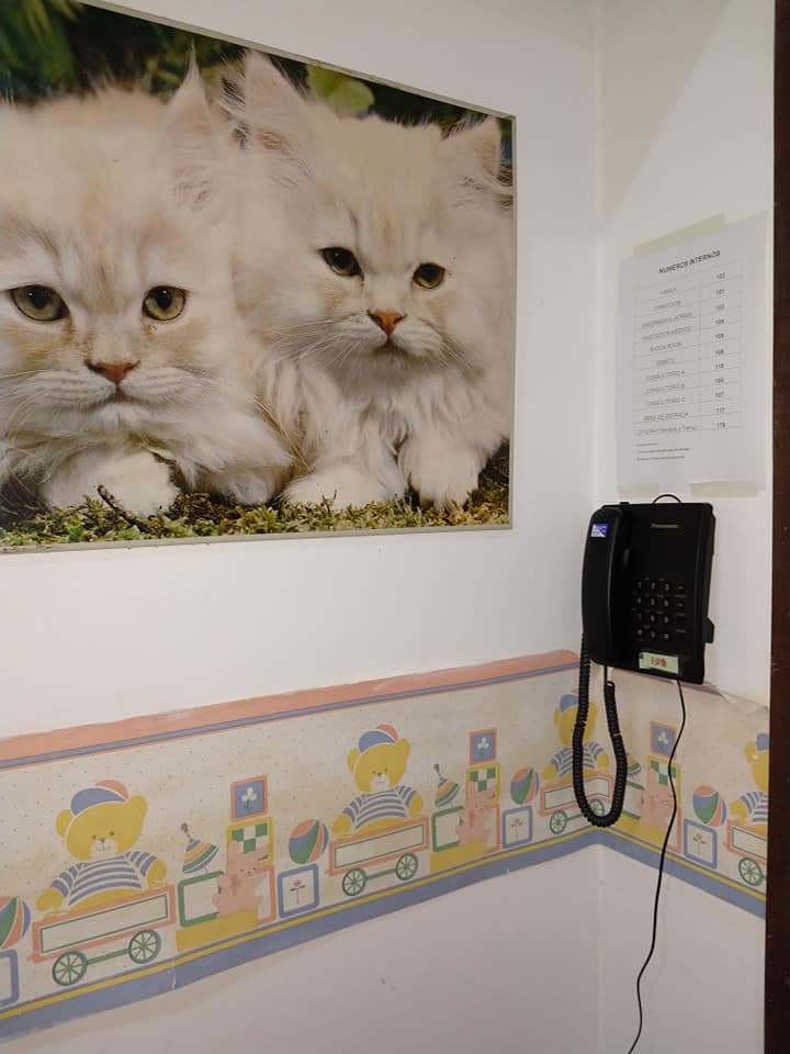 GENERAL LAVALLE: Instalaron una nueva central telefónica en el Hospital Municipal