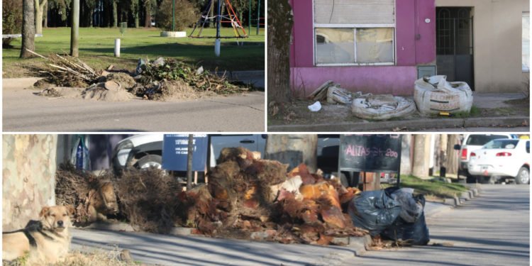 GENERAL MADARIAGA: Intensifican los controles y las infracciones a quienes no cumplen el cronograma de recolección