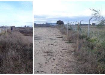 GENERAL MADARIAGA: Continúan con la forestación del Sector Industrial Planificado