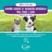 LA COSTA: La Municipalidad continúa con la campaña de vacunación antirrábica gratuita en las localidades
