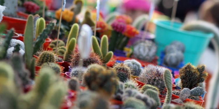 LA COSTA: Este fin de semana vuelven a funcionar las ferias itinerantes en La Costa