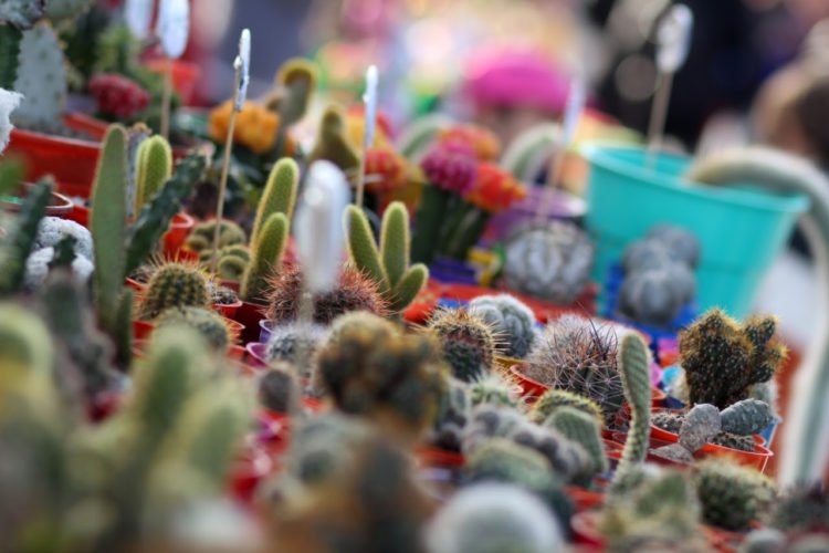 LA COSTA: Este fin de semana vuelven a funcionar las ferias itinerantes en La Costa