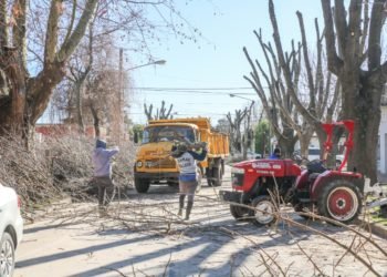 GENERAL MADARIAGA: Continúan las podas de árboles en la vía pública