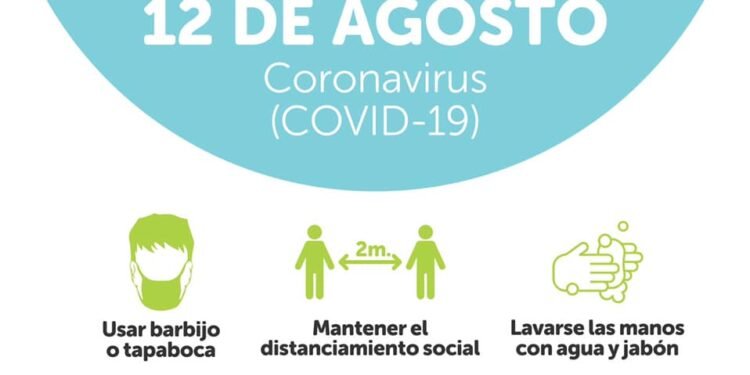 MAR DEL PLATA: covid-19, 12 de agosto