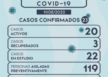 LEZAMA: covid-19, 11 de agosto