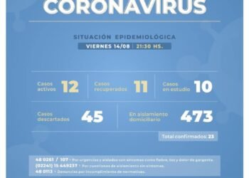 CASTELLI: covid-19, 14 de agosto