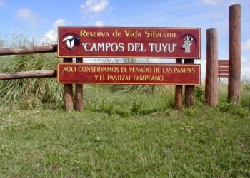 GENERAL LAVALLE: Construirán un muelle en el Parque Nacional Campos del Tuyú a través de un convenio de la Administración General de Puertos (AGP)