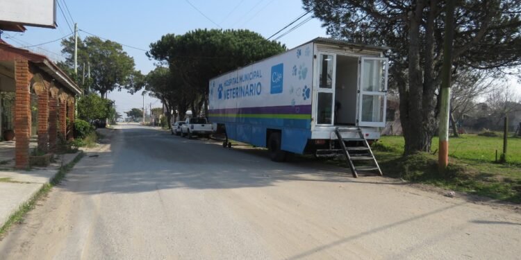 LA COSTA: Con turnos programados comenzó la campaña de castraciones gratuitas para perros y gatos