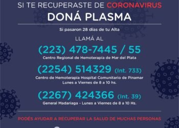 PINAMAR: COVID 19: CONOCÉ CÓMO SER PARTE DE LA DONACIÓN DE PLASMA