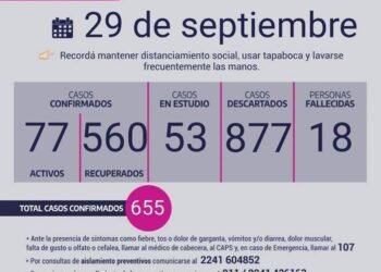 CHASCOMUS: covid-19, 29 de abril