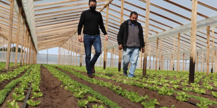 LA COSTA: Cristian visitó el predio de la futura Cooperativa de Horticultores de La Costa
