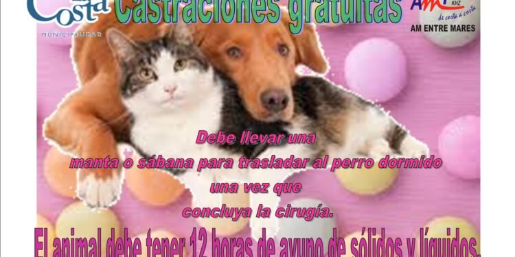 LA COSTA: La campaña de castraciones gratuitas para perros y gatos se lleva adelante en Santa Teresita