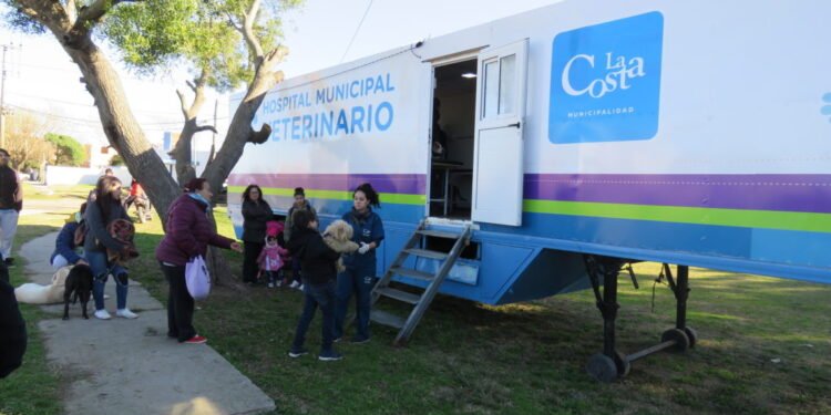 LA COSTA: Finalizan las castraciones gratuitas para perros y gatos en San Clemente y llega el servicio a Las Toninas