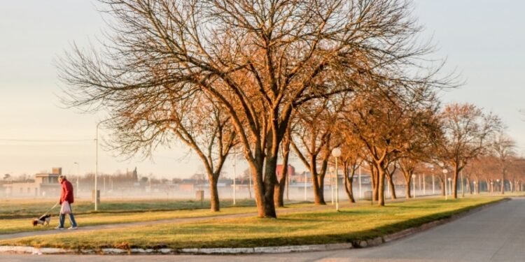 GENERAL MADARIAGA: Buscan que se declare a Madariaga como zona fría