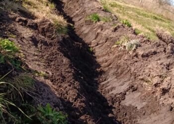 GENERAL MADARIAGA: Reforzaron los bloqueos  para evitar el ingreso clandestino a la ciudad