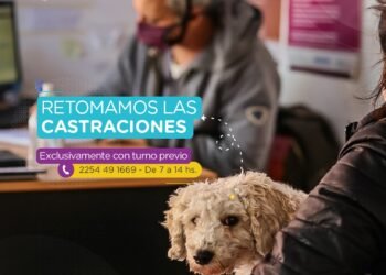 PINAMAR: RETOMAMOS LAS CASTRACIONES