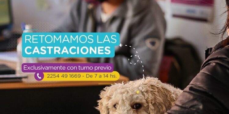 PINAMAR: RETOMAMOS LAS CASTRACIONES