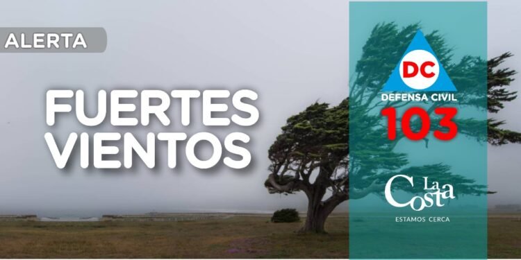 ALERTA METEOROLÓGICO Nº 2 PARA NORESTE DE LA PROVINCIA DE BUENOS AIRES. RÍO DE LA PLATA Y CIUDAD AUTÓNOMA DE  BUENOS AIRES POR VIENTOS INTENSOS CON RÁFAGAS.