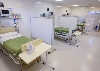 PARTIDO DE PINAMAR: SISTEMA DE SALUD: INFORMACIÓN SOBRE LA DISPONIBILIDAD DE CAMAS