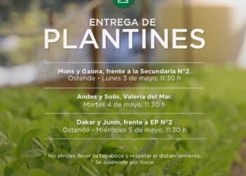PARTIDO DE PINAMAR: ENTREGA DE PLANTINES PARA HUERTA