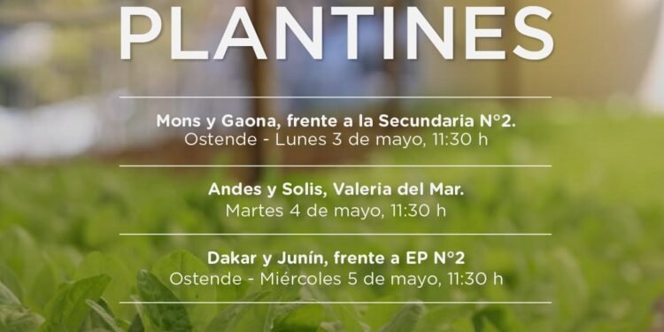 PARTIDO DE PINAMAR: ENTREGA DE PLANTINES PARA HUERTA