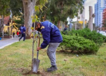 PARTIDO DE PINAMAR: SEGUIMOS FORESTANDO PINAMAR JUNTOS