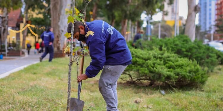 PARTIDO DE PINAMAR: SEGUIMOS FORESTANDO PINAMAR JUNTOS