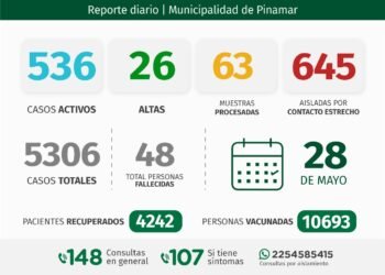 PARTIDO DE PINAMAR: INFORME COVID-19 Y DISPONIBILIDAD HOSPITALARIA A NIVEL LOCAL –
