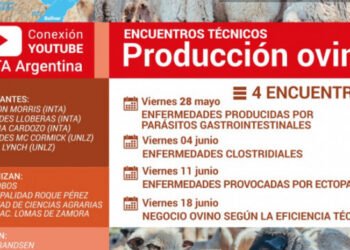 PARTIDO DE GENERAL LAVALLE: Mañana comenzarán los encuentros técnicos sobre “Producción Ovina”