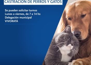 PARTIDO DE MAR CHIQUITA: #Higiene 🐶🐱 CAMPAÑA DE CASTRACIÓN EN VIVORATÁ