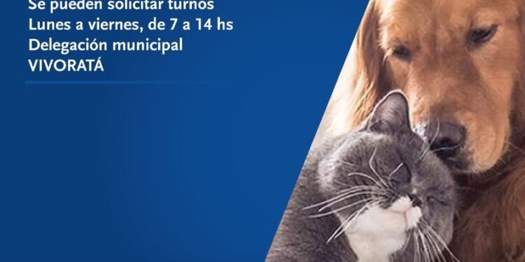 PARTIDO DE MAR CHIQUITA: #Higiene 🐶🐱 CAMPAÑA DE CASTRACIÓN EN VIVORATÁ