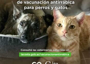 PARTIDO DE LA COSTA: Comienza la campaña gratuita de vacunación antirrábica gratuita en las veterinarias del Partido de La Costa