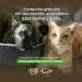 PARTIDO DE LA COSTA: Comienza la campaña gratuita de vacunación antirrábica gratuita en las veterinarias del Partido de La Costa