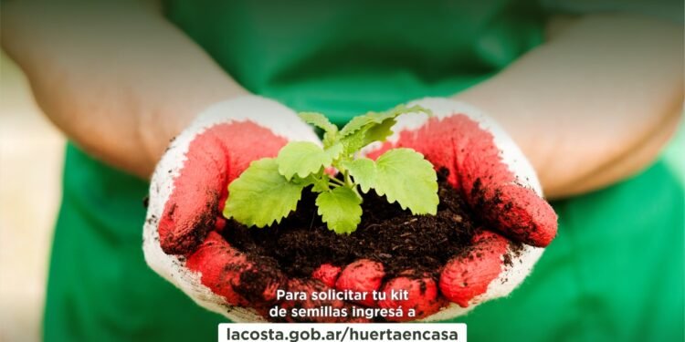 PARTIDO DE LA COSTA: Comenzó la inscripción virtual al programa municipal Huerta en Casa: conocé todos los puntos de entrega de las semillas