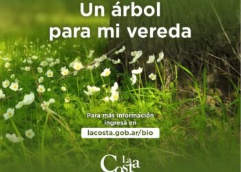 PARTIDO DE LA COSTA: Abrió la inscripción para el programa de forestación urbana «Un árbol para mi vereda»