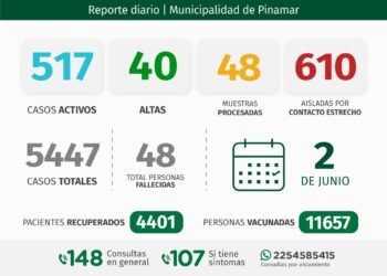PARTIDO DE PINAMAR: INFORME COVID-19 Y DISPONIBILIDAD HOSPITALARIA A NIVEL LOCAL