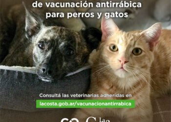 PARTIDO DE LA COSTA: Comenzó la campaña gratuita de vacunación antirrábica gratuita en las veterinarias del Partido de La Costa