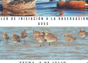 PARTIDO DE GENERAL MADARIAGA: ¿Qué esperás para anotarte al “Taller de Iniciación a la Observación de Aves” en Lavalle?