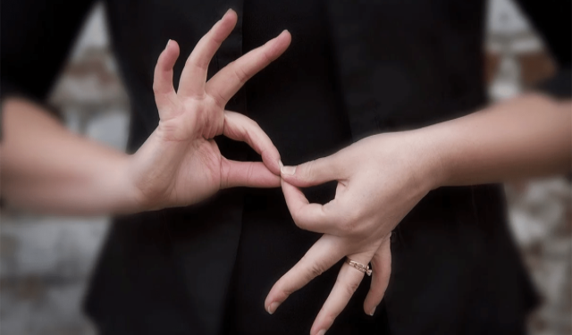 PARTIDO DE LA COSTA: Se realizó una capacitación virtual en lengua de señas para que el Partido de La Costa continúe creciendo como destino turístico accesible