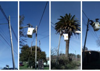 PARTIDO DE GENERAL MADARIAGA: Ampliaron el alumbrado público en distintos barrios de la ciudad