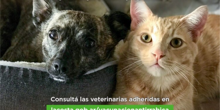 PARTIDO DE LA COSTA: En un trabajo conjunto entre la Municipalidad y las veterinarias continúa la campaña de vacunación antirrábica gratuita en el Partido de La Costa