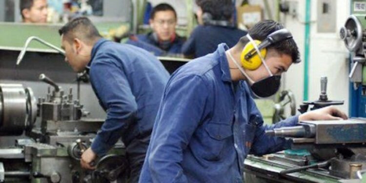 PARTIDO DE GENERAL LAVALLE: Lanzaron «Te Sumo»: Un programa para impulsar la inserción laboral de jóvenes en Pymes