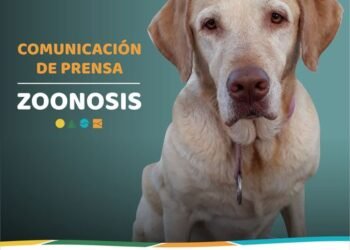 PARTIDO DE VILLA GESELL: Zoonosis avanza en la concientización de cuidado animal