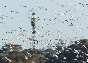 PARTIDO DE LA COSTA: El Partido de La Costa participó de una Feria Internacional de Turismo para seguir potenciando al destino en toda Latinoamérica