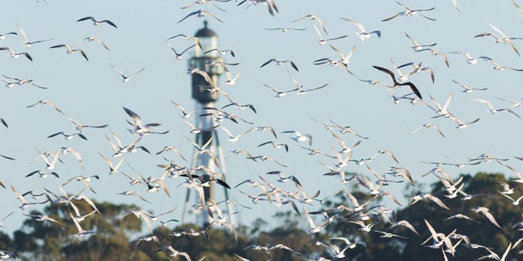 PARTIDO DE LA COSTA: El Partido de La Costa participó de una Feria Internacional de Turismo para seguir potenciando al destino en toda Latinoamérica