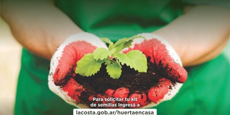 PARTIDO DE LA COSTA: Abre la inscripción para la cuarta edición del programa de entrega de semillas “Huerta en Casa”