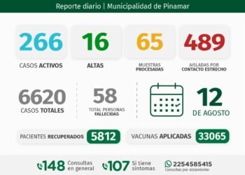 PARTIDO DE PINAMAR: INFORME COVID-19 A NIVEL LOCAL – con datos recibidos al 12 de agosto 2021.