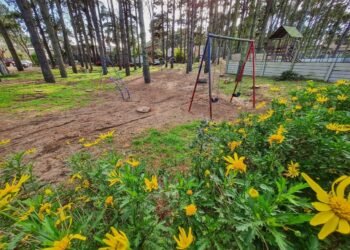 PARTIDO DE PINAMAR: SERVICIOS URBANOS EN BARRIO SOLIDARIDAD