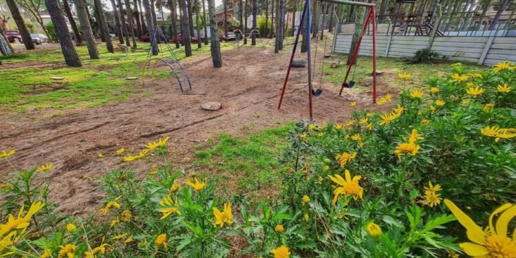 PARTIDO DE PINAMAR: SERVICIOS URBANOS EN BARRIO SOLIDARIDAD